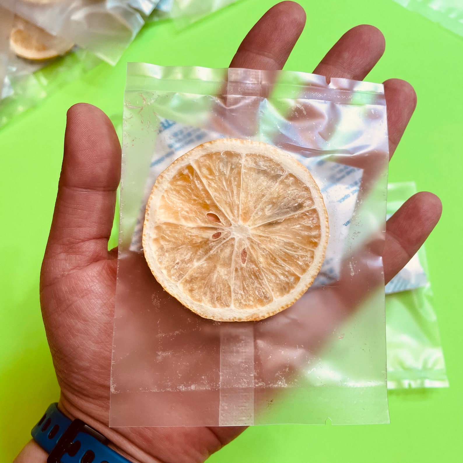 SinglePack FreezeDried Lemon 10 Packkeep longer with Etsy