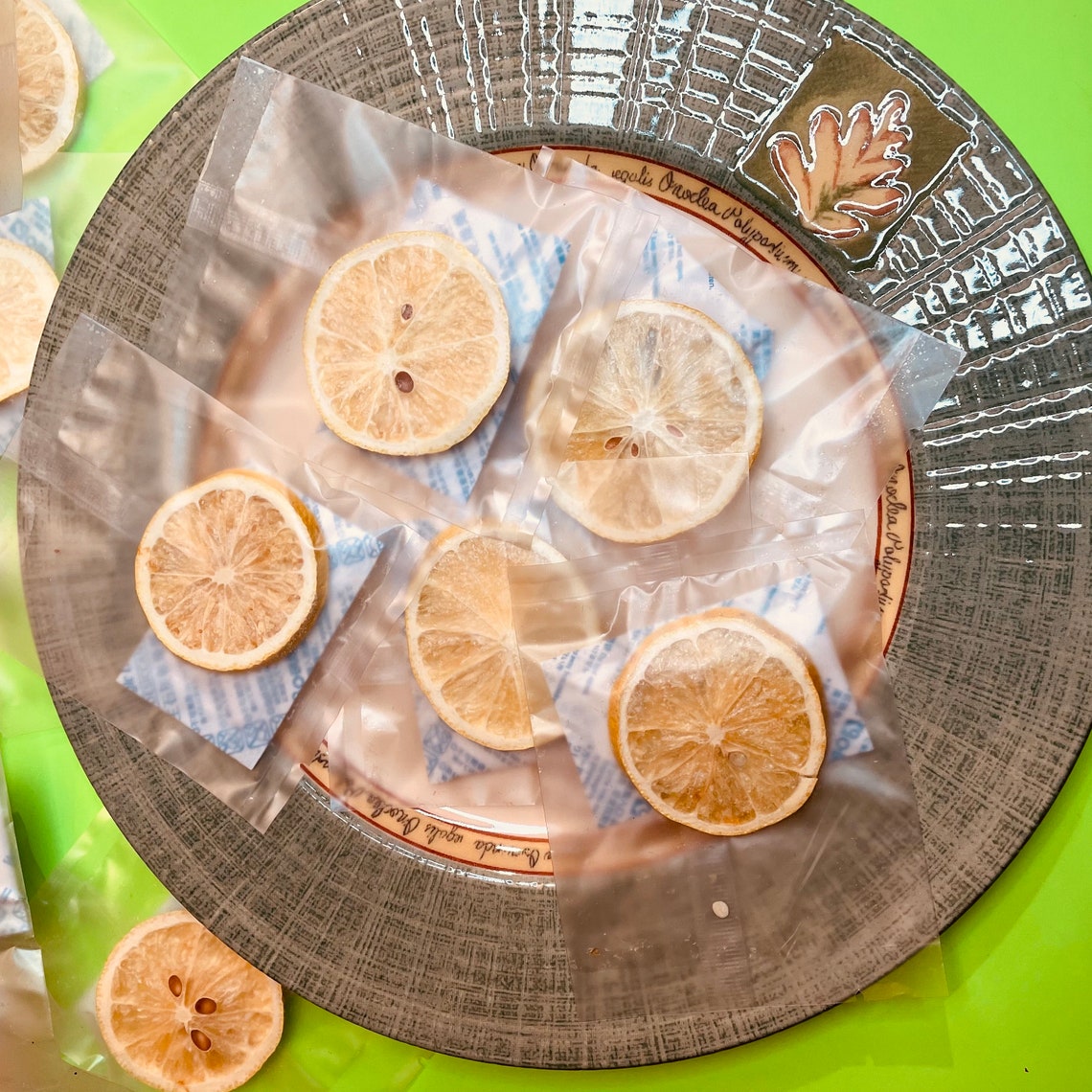 SinglePack FreezeDried Lemon 10 Packkeep longer with Etsy
