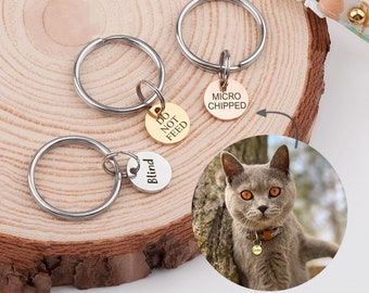 Tiny Cat Tag - Custom Small Cat Tag - Tiny Pet ID Tag Cat ID Tag - Cat Name Tag - Microchipped Tag, Add on Tag - Small Cat Collar Tag