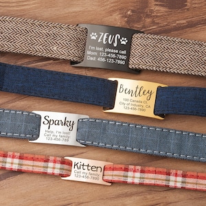 May include: Four different dog collar tags with engraved text and paw prints. The tags are silver, gold, and rose gold. The text on the tags includes the dog's name, contact information, and a message for if the dog is lost.