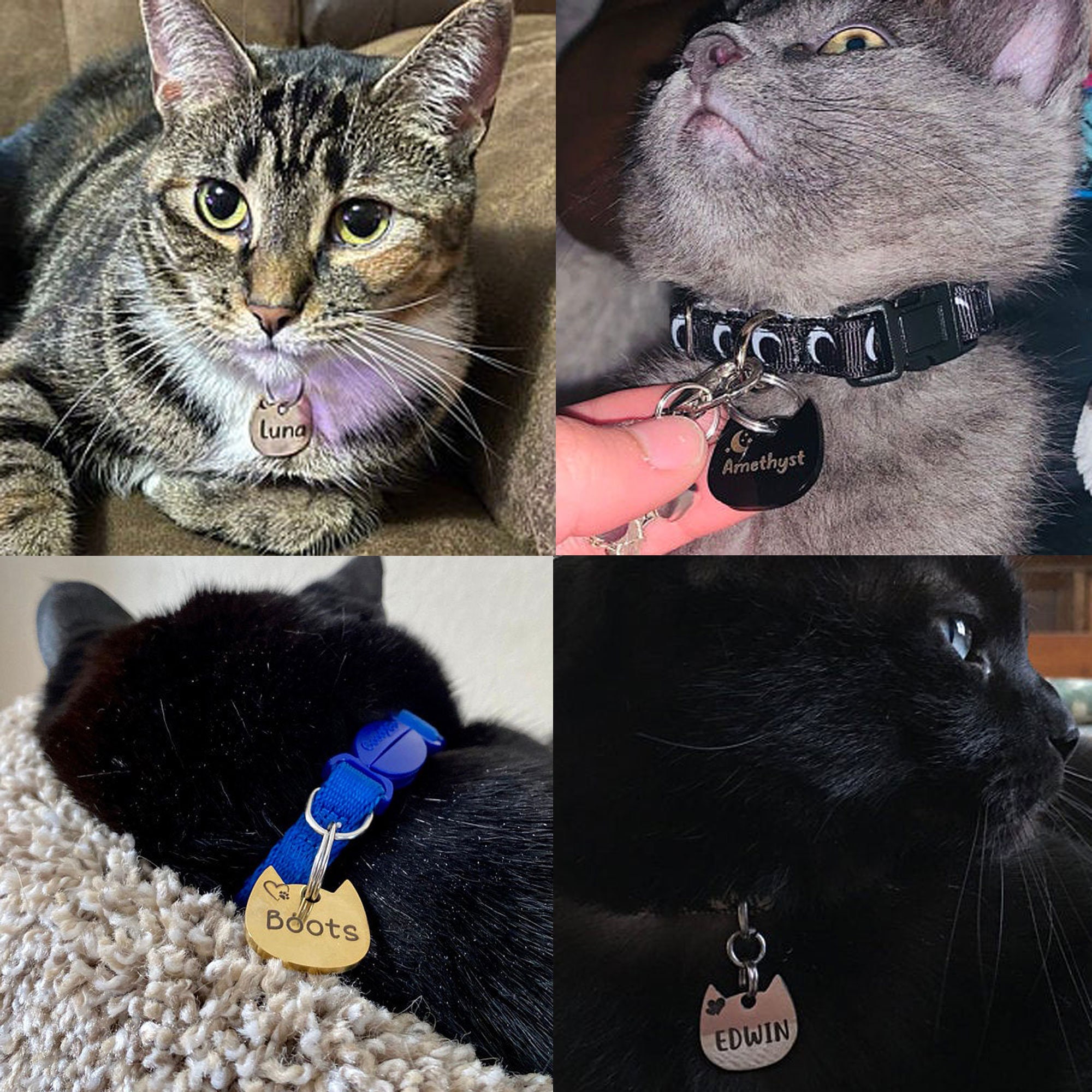 cat id tags cat id tags