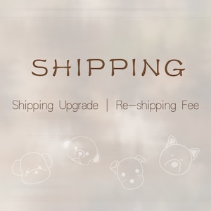 Extra shipping fee