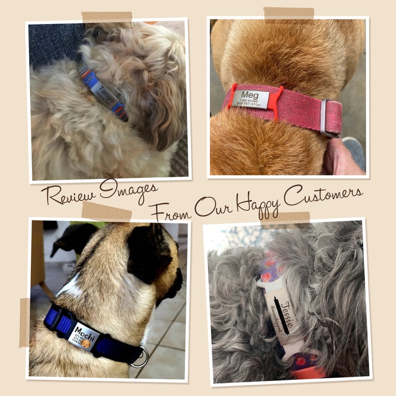 Dog Tag - Slide on Dog Tag - Custom Dog Name Tag - Silent Pet ID Tag - Dog Tag Personalized - Silicone Dog Tag - Silent Dog Collar Tag image 3