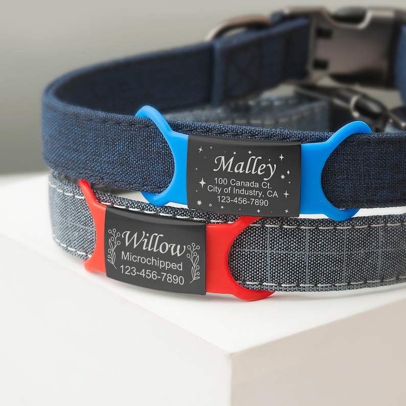 May include: Two dog collars with personalized engraved black name tags. The top collar is blue with a blue and white tag that reads "Malley", "100 Canada Ct", "City of Industry, CA", and "123-456-7890". The bottom collar is gray with a red and black tag that reads "Willow", "Microchipped", and "123-456-7890".