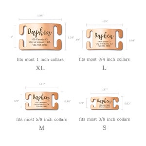 May include: Four gold-colored metal dog collar tags with different sizes. The tags are engraved with the name "Daphen", an address, and a phone number. The tags are labeled with the sizes "XL", "L", "M", and "S".