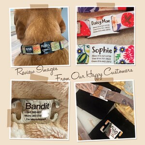 Cat Tag Personalized - Cat Collar Tag - Cat Gifts - Custom Cat Name Tags - Silent Pet Tag - Slide on Cat Tag - Silent Pet Tag with Cut Hole afbeelding 10