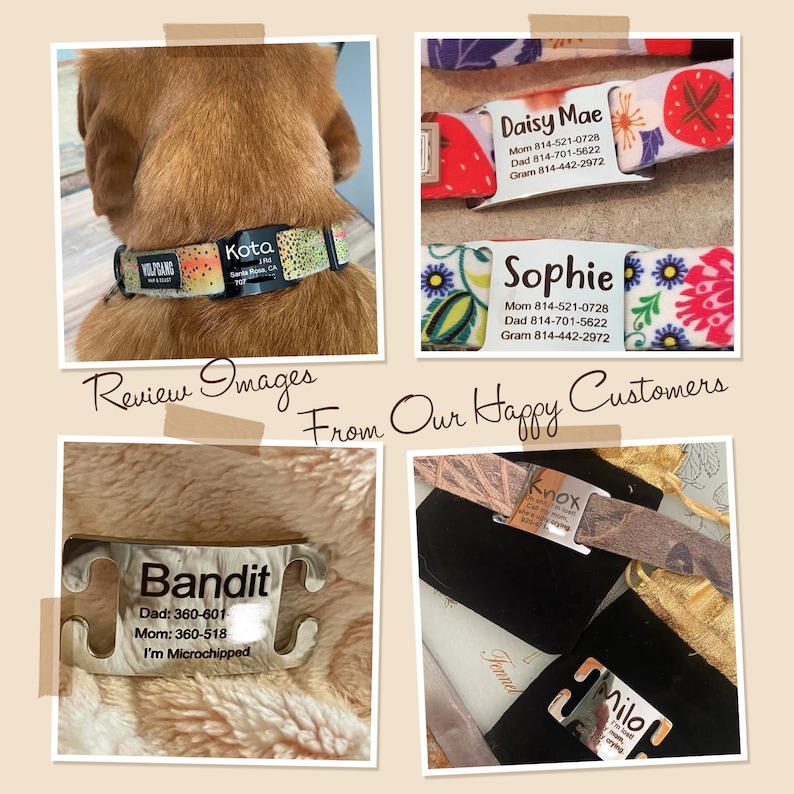 Cat Tag Personalized - Cat Collar Tag - Cat Gifts - Custom Cat Name Tags - Silent Pet Tag - Slide on Cat Tag - Silent Pet Tag with Cut Hole afbeelding 10