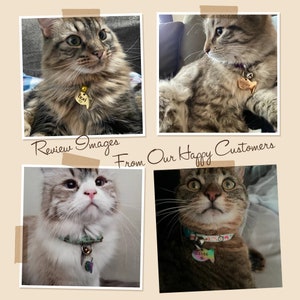 May include: Four images of cats wearing personalized cat collars with fish-shaped tags. The collars are in various colors and patterns. The cats are looking at the camera with different expressions. The text "Review Images From Our Happy Customers" is visible at the top of the image.