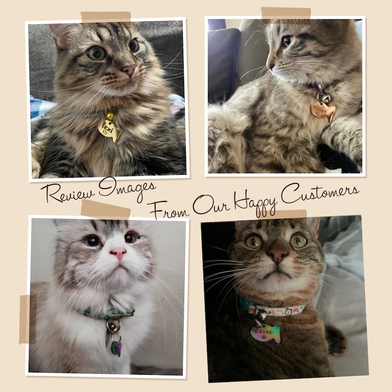 May include: Four images of cats wearing personalized cat collars with fish-shaped tags. The collars are in various colors and patterns. The cats are looking at the camera with different expressions. The text "Review Images From Our Happy Customers" is visible at the top of the image.