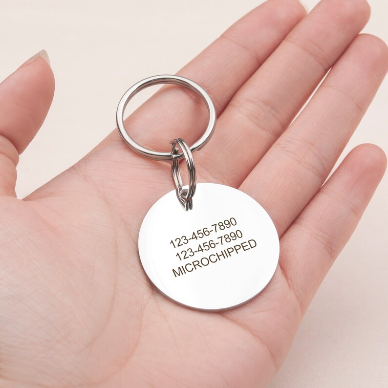 May include: Silver key chain with a round tag engraved with two phone numbers and the text "MICROCHIPPED".