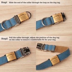 May include: A blue denim dog collar featuring a rectangular gold-toned metal tag engraved with the text Coisty, a paw print icon, and address details. The instructional image shows how to slide the collar through the tag loop for a secure fit.