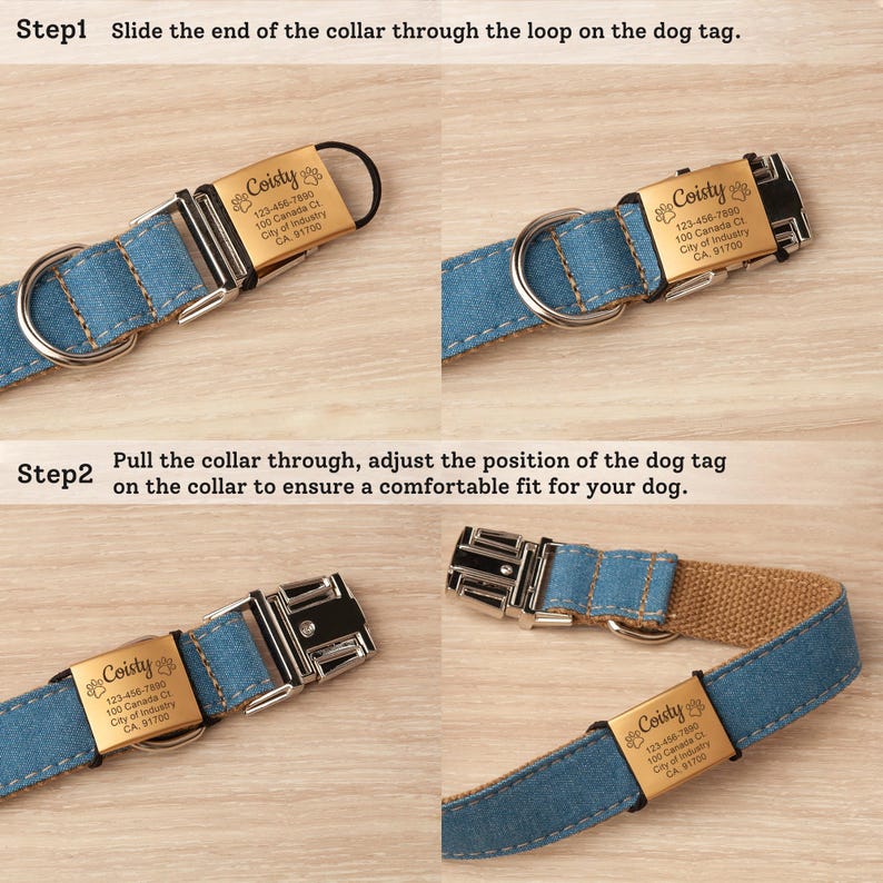 May include: A blue denim dog collar featuring a rectangular gold-toned metal tag engraved with the text Coisty, a paw print icon, and address details. The instructional image shows how to slide the collar through the tag loop for a secure fit.