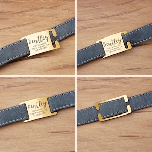May include: Gold dog tag with engraved text, "Bentley", "100 Canada Ct.", "City of Industry, CA", and "123-456-7890". The tag is attached to a gray and black patterned dog collar.