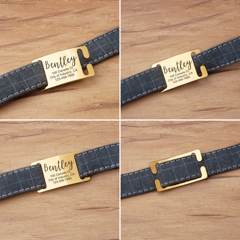 May include: Gold dog tag with engraved text, "Bentley", "100 Canada Ct.", "City of Industry, CA", and "123-456-7890". The tag is attached to a gray and black patterned dog collar.