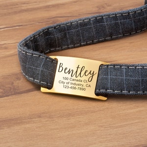 May include: Gold metal dog tag with the name "Bentley" engraved on it. The tag also includes the address "100 Canada Ct., City of Industry, CA 123-456-7890".