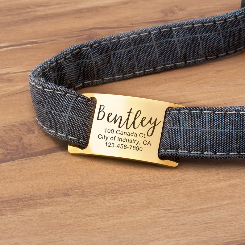 May include: Gold metal dog tag with the name "Bentley" engraved on it. The tag also includes the address "100 Canada Ct., City of Industry, CA 123-456-7890".