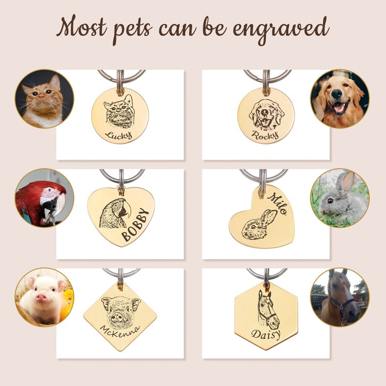 May include: A collage of nine images showing different pet portraits engraved on gold-colored metal pet tags. The tags are in various shapes, including round, heart, square, and hexagonal. The pets featured include a cat, dog, parrot, rabbit, pig, and horse. Each tag has the pet's name engraved on it.