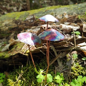 Könnte beinhalten: Drei schillernde Kupferpilze mit einer blauen, violetten und rosafarbenen Patina liegen in einem Bett aus grünem Moos. Die Pilze sind in einer Gruppe angeordnet, wobei der größte in der Mitte liegt.