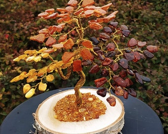 Bernsteinbaum des Glcks Bonsai 10 cm 32 Baltischen Bernstein Steinen -  Etsy sterreich