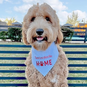 May include: A light brown dog wearing a blue and white checkered bandana. The bandana has the text "There's no place like HOME" in red. The dog is sitting outside on a bench.