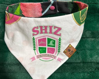 Wicked-inspired pet bandana