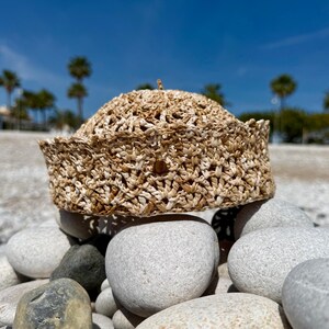 Puede incluir: Un sombrero de paja trenzada de color beige con una copa redondeada y un ala estructurada y erguida. El material presenta un complejo patrón de trenzado calado en varios tonos de beige, con una pequeña pieza decorativa redonda de color marrón.