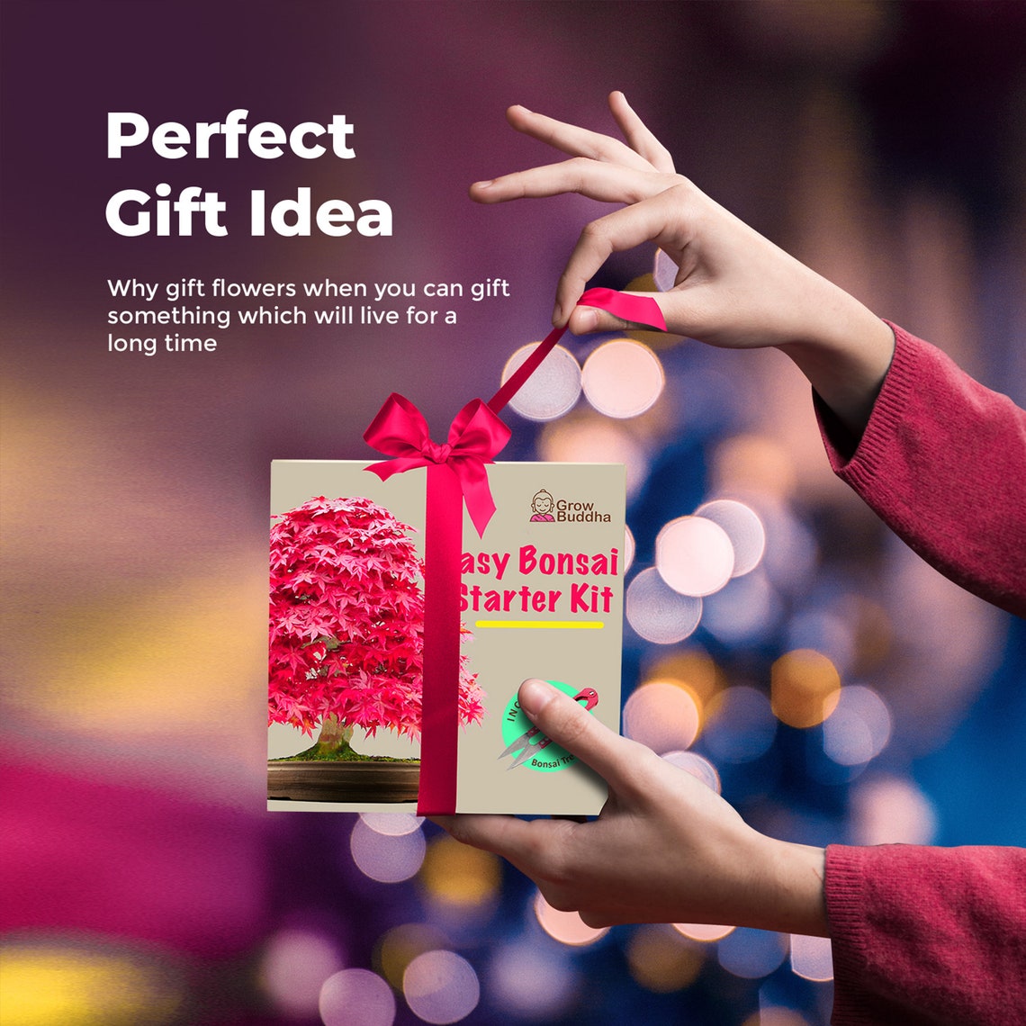 GROWING KIT BONSAI Kit Bonsai Seeds Grow 4 Types of Bonsai Etsy UK