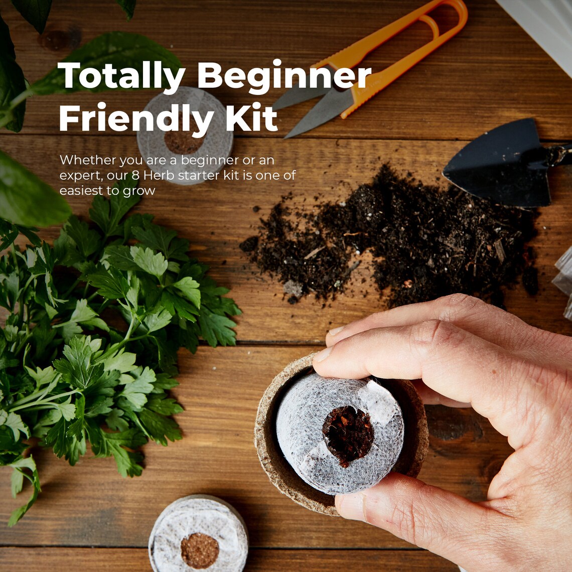 HERB GROWING KIT Seed Starter Kit 8 Herb Grow Your Own Herb Etsy Canada