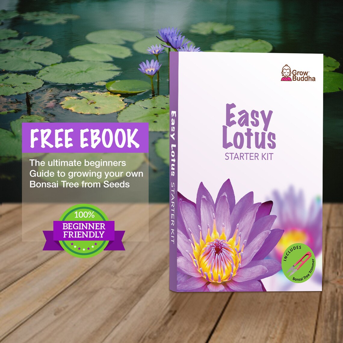 Grow Your Own Lotus Flower Kit Easily Grow Your Own Lotus Etsy