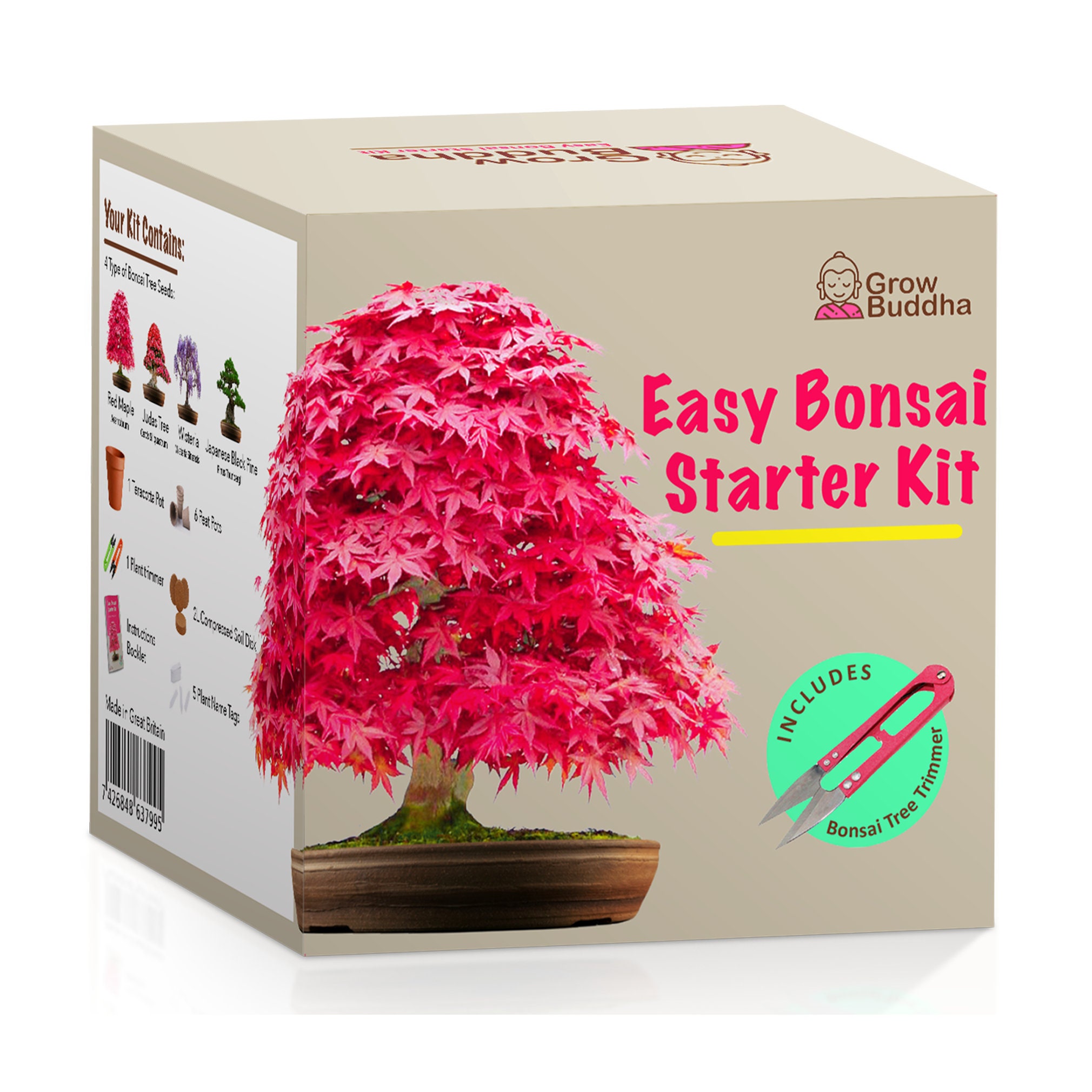 GROWING KIT, BONSAI Kit, Bonsai Seeds Grow 4 Types of Bonsai Trees Nature  Lover Housewarming Gift, Bonsai Tree Starter Kit -  Israel