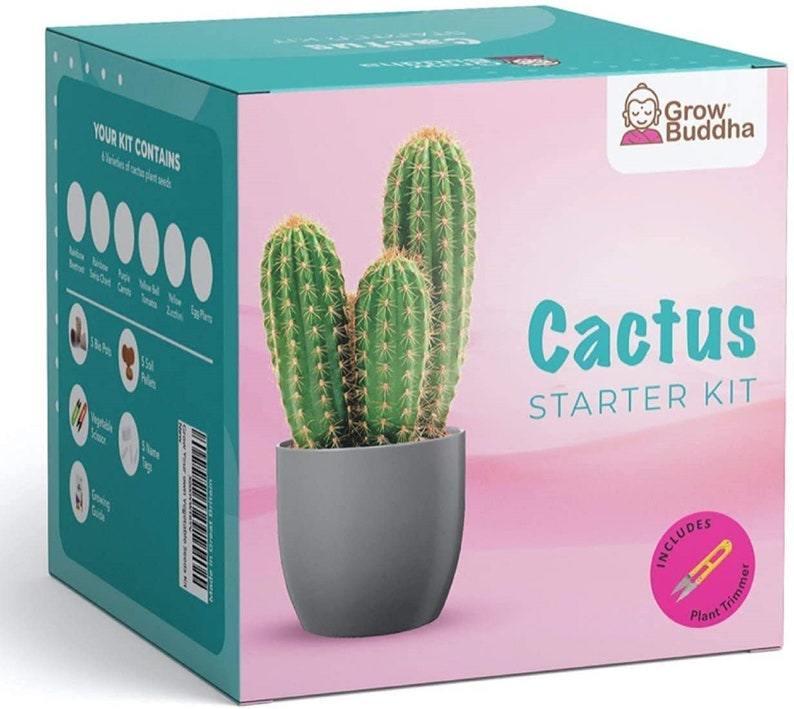 Cactus Kit Grow Your Own Cactus Seeds Starter Kit Easily - Etsy