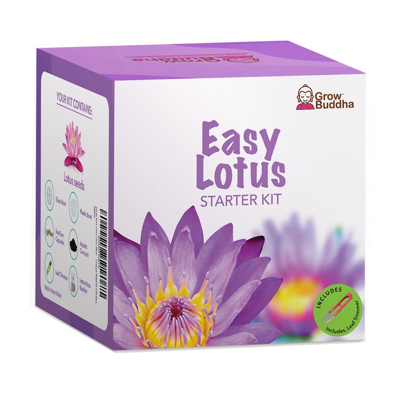 Grow Your Own Lotus Flower Kit Easily Grow Your Own Lotus Etsy UK