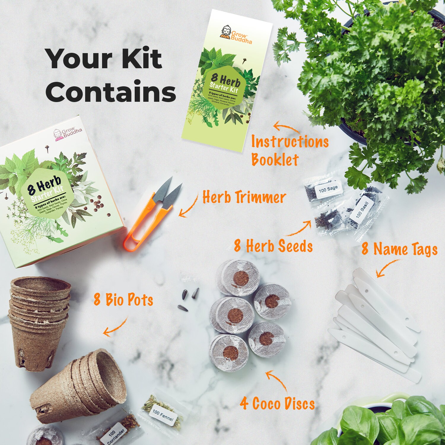 HERB GROWING KIT Seed Starter Kit 8 Herb Grow Your Own Herb Etsy UK