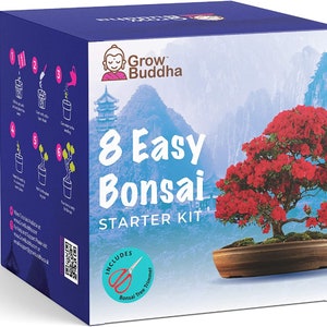 SEED STARTER KIT, Germination Kit, 8 Variety Of Buddha Bonsai Seed Starter Kit, Beginner Friendly Bonsai Tree Pot