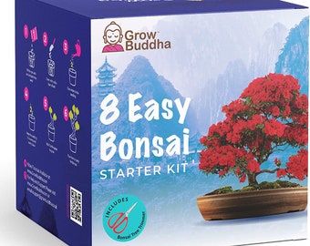 Gardening Gift Set Germination Starter Kit with Bonsai Tools Tetra Products Ltd 5 Bonsai Tree Seeds Species Urban Sprout Bonsai Tree Kit Grow Your Own Bonsai Trees from Seeds