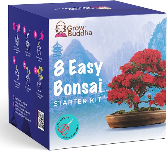 KIT DE DÉMARRAGE DE GRAINES, Kit de germination, 8 Variété de Kit de  démarrage de graines de bonsaï de Bouddha, Pot darbre à bonsaï convivial  pour les débutants -  Canada