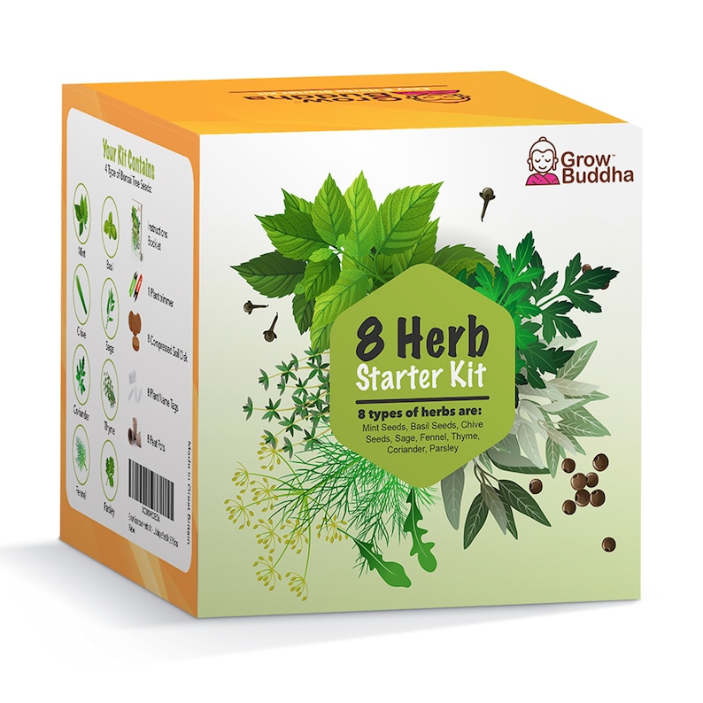 HERB GROWING KIT Seed Starter Kit 8 Herb Grow Your Own Herb Etsy UK