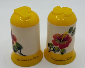 Vintage plastic salt and pepper shakers feature a tropical hibiscus design and a "Columbus, Ohio"