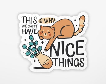 This is Why We Cant have Nice Things Sticker | Vinyl Sticker | Water Bottle Sticker | Laptop Sticker | Waterproof Sticker