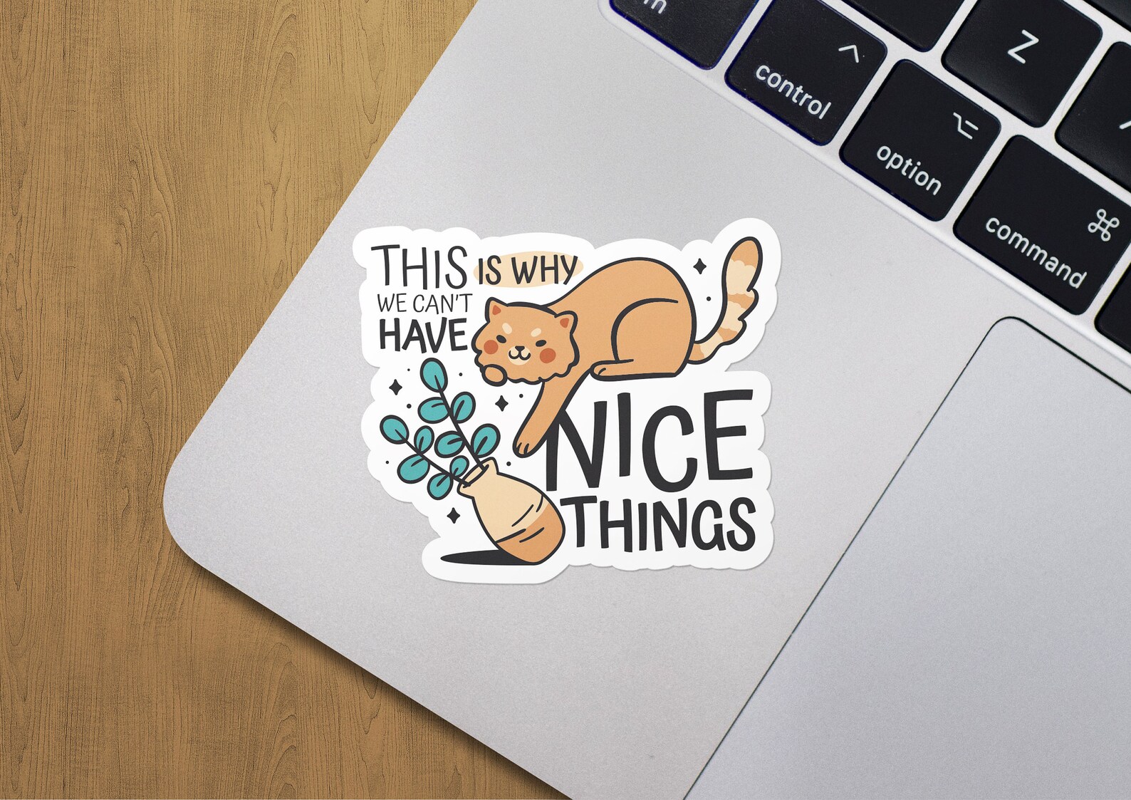 This is Why We Cant Have Nice Things Sticker Vinyl Sticker Water