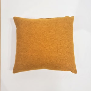 Small Decorative Orange Pillow 14&quot; x 15&quot;