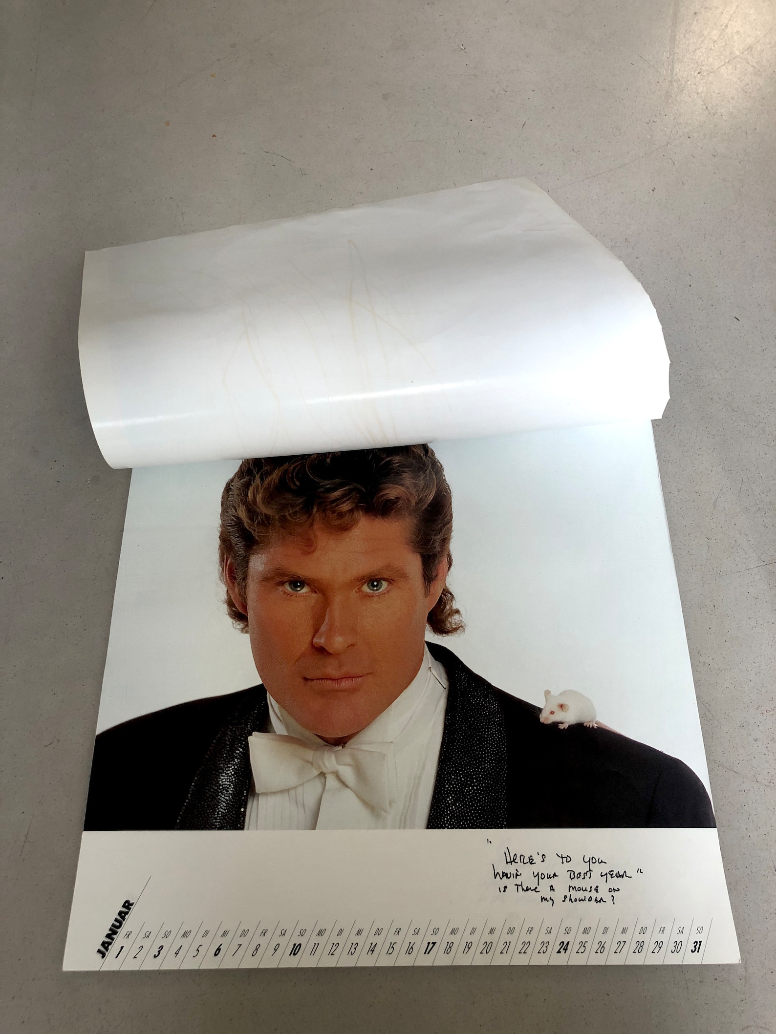 Vintage DAVID HASSELHOFF Calendar 1993 the Hoff Baywatch - Etsy