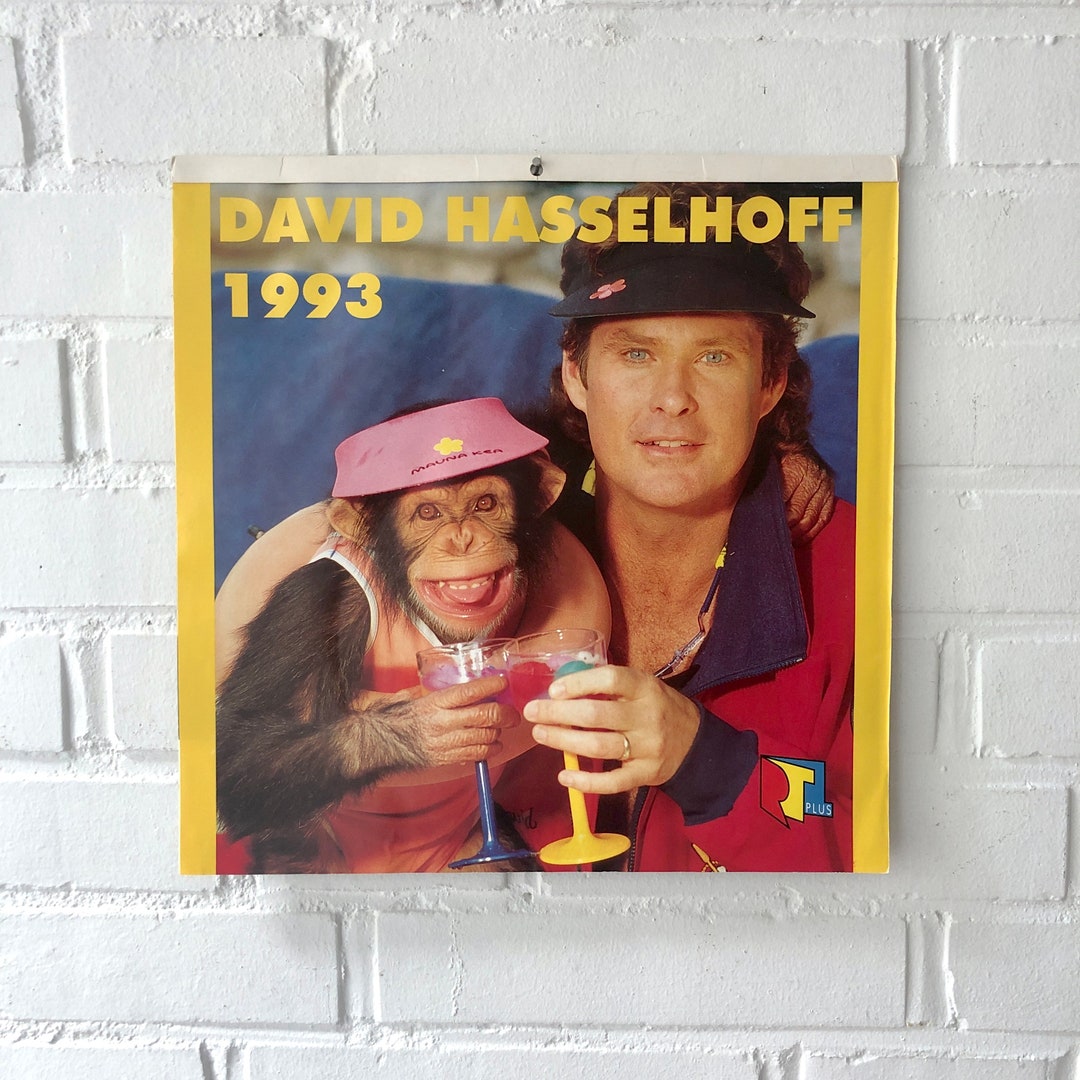 Vintage DAVID HASSELHOFF Calendar 1993 the Hoff Baywatch Etsy