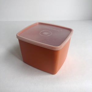 caja congelación tupperware-DeFiestaEnCasa