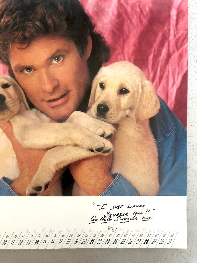 Vintage DAVID HASSELHOFF Calendar 1993 the Hoff Baywatch - Etsy