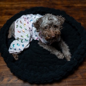 May include: A small, brown and gray dog wearing a white and pink pajama-style shirt with a rainbow unicorn print, sitting in a black, round, fluffy dog bed.