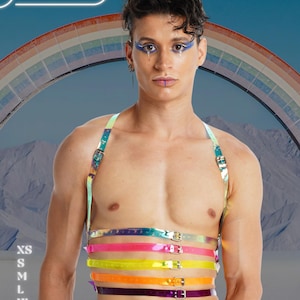 May include: A multi-colored harness with adjustable straps and metal buckles. The harness features a rainbow of colors, including pink, yellow, orange, and purple. The brand name "HARNESSIRE" is visible at the top. Sizes XS to 2XL are listed on the left.