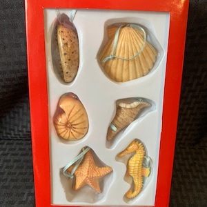 Decorazioni natalizie a forma di conchiglia, nuove in scatola, set da 6