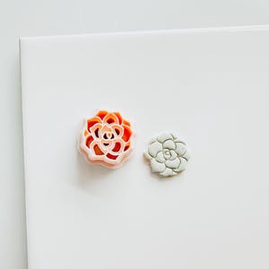Könnte beinhalten: Zwei Ausstecher in Form von Sukkulenten. Einer ist orange und rosa, der andere grau. Die Ausstecher sind aus Kunststoff und dienen dazu, die Form einer Sukkulentenpflanze zum Backen oder Basteln auszuschneiden.