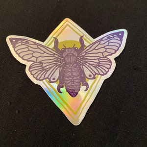 Cicada Holographic Sticker